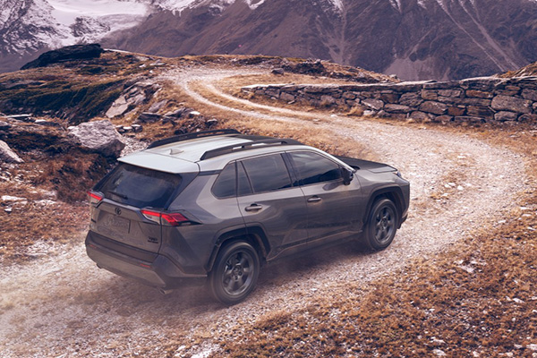 toyota-rav4-trd-off-road-2020-trasera.jpg